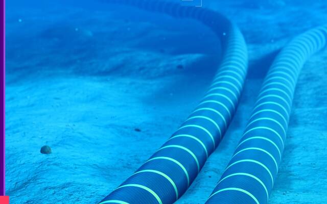 لربط السعودية بقارات العالم.. وصول أطول كابل بحري في العالم إلى جدة وينبع