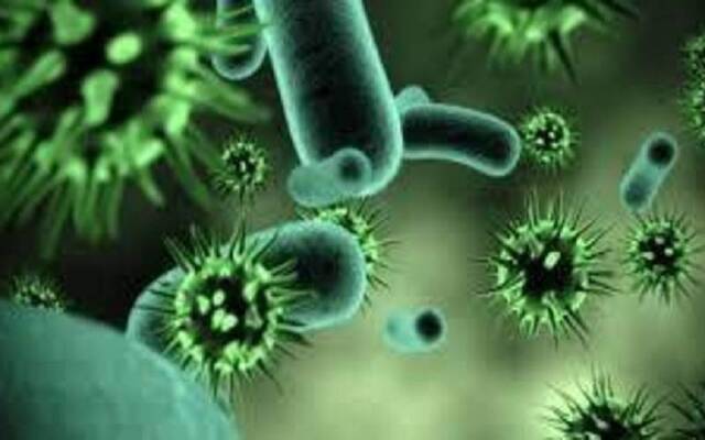 إسبانيا تكتشف أول إصابة بفيروس "ماربورج" المميت