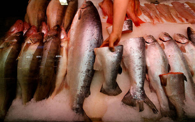 عمومية الشرق الأوسط للأسماك توافق على توزيع 0.2 دينار للسهم