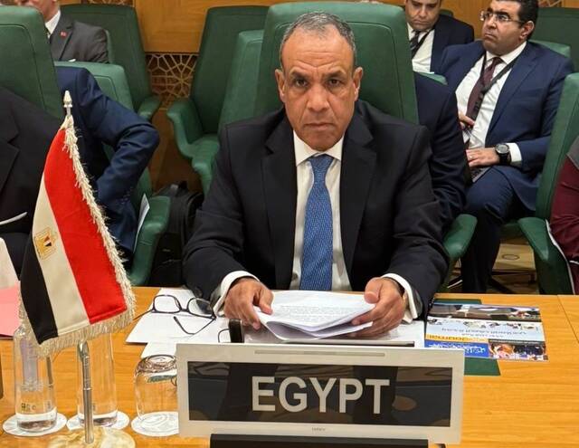 بدر عبدالعاطي