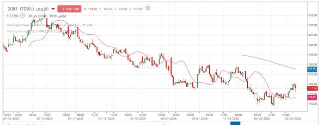 أداء سهم الخريف
