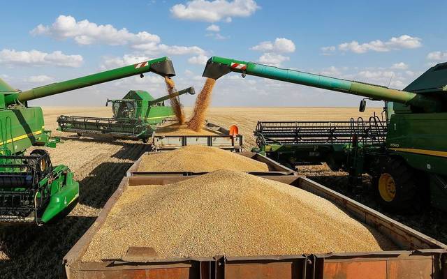 العامة للحبوب تدعو المستثمرين السعوديين بالخارج لتوريد 355 ألف طن من القمح