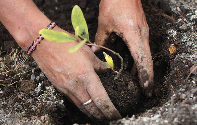 الصورة من رويترز اريبيان اي