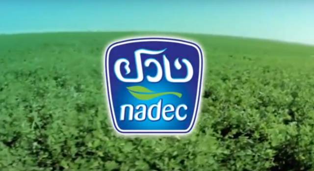 NADEC recommends 20% capital increase