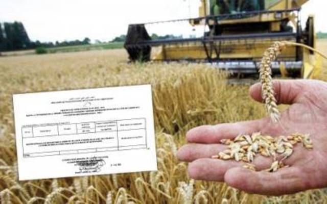الولايات المتحدة ترفض تزويد المغرب بالقمح بأثمنة تفضيلية 
