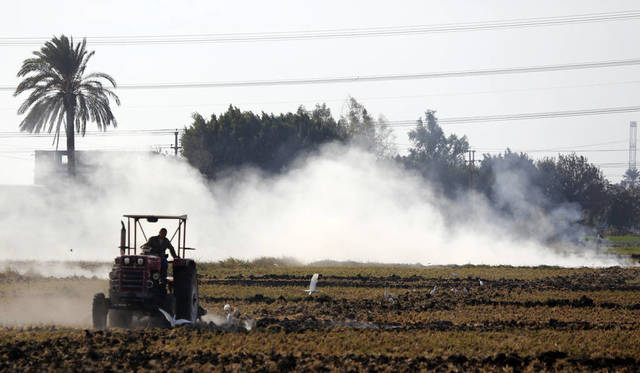 MubasherTrade places “Buy/Moderate Risk” on Kafr El-Zayat Pesticides