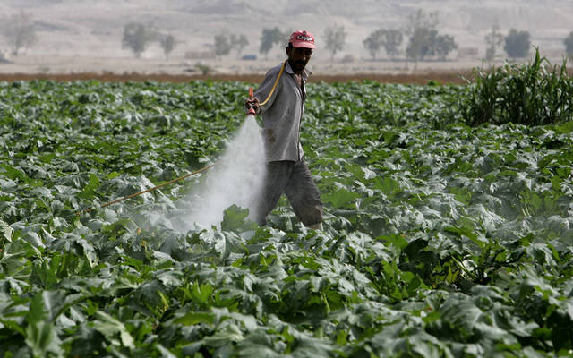 أسعار المنتجين الزراعيين بالأردن ترتفع خلال سبتمبر