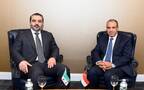 بدر عبد العاطي وزير الخارجية والهجرة وشئون المصريين بالخارج مع أسعد الشيباني وزير الخارجية والمغتربين في الجمهورية العربية السورية