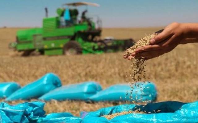 "الزراعة" العراقية: إجراءات لاستقرار أسعار المنتجات "قريباً"