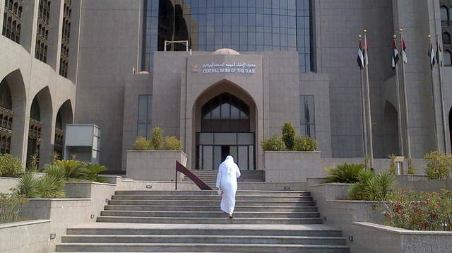 "المركزي الإماراتي يطالب بتفعيل متطلبات الحساب الخاص بأقساط شركات التأمين