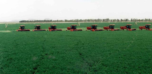 Tabuk Agriculture eyes SAR 60m acquisition
