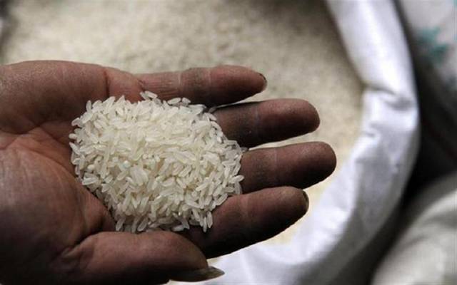 الزراعة المصرية تعلق على استيراد شحنات أرز غير مطابقة للمعايير