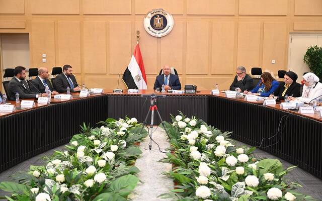 كامل الوزير نائب رئيس مجلس الوزراء للتنمية الصناعية وزير الصناعة والنقل