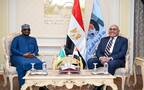 عبد الرحمن عبد العظيم عثمان مدير عام الهيئة العربية للتصنيع وسيف الله بابانجيدا الرئيس التنفيذي لشركة فينيشيوس النيجيرية