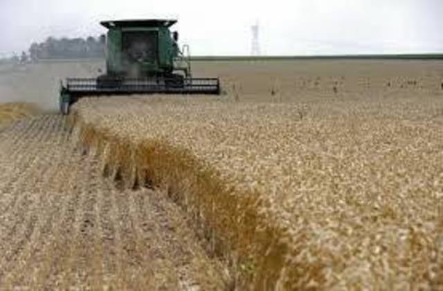 الدولية للمحاصيل تتحول للربحية خلال 9 أشهر