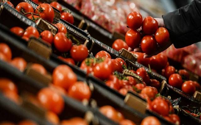 الزراعة المصرية: استمرار طرح كميات من الطماطم بسعر 10 جنيهات للكيلو