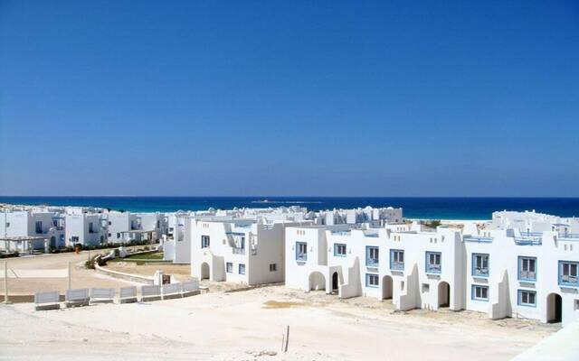 أرشيفية