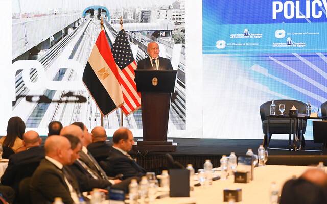 كامل الوزير نائب رئيس مجلس الوزراء للتنمية الصناعية وزير الصناعة والنقل