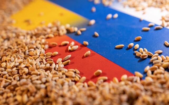 روسيا تؤكد استعدادها لمواصلة الحوار بشأن تنفيذ صفقة الحبوب