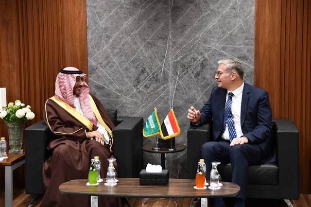 جانب من اللقاء