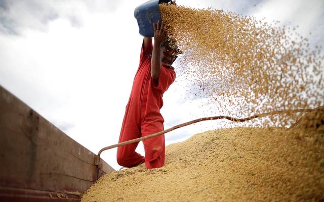 China buys US soybeans amid trade uncertainty