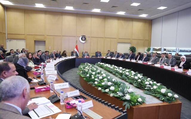 كامل الوزير نائب رئيس مجلس الوزراء للتنمية الصناعية وزير الصناعة والنقل