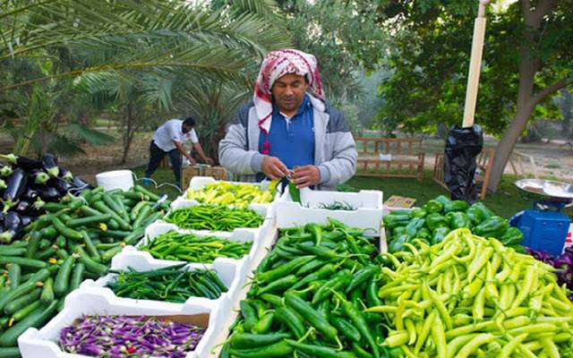 البحرين تؤكد دعم المزارعين لتلبية احتياجات السوق المحلي من المنتجات