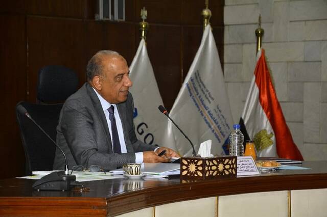 Egypt's Minister of Public Business Sector, Mahmoud Esmat
