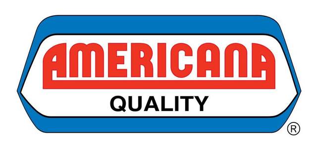 Americana Group’s loss shrinks 43% in Q1-20
