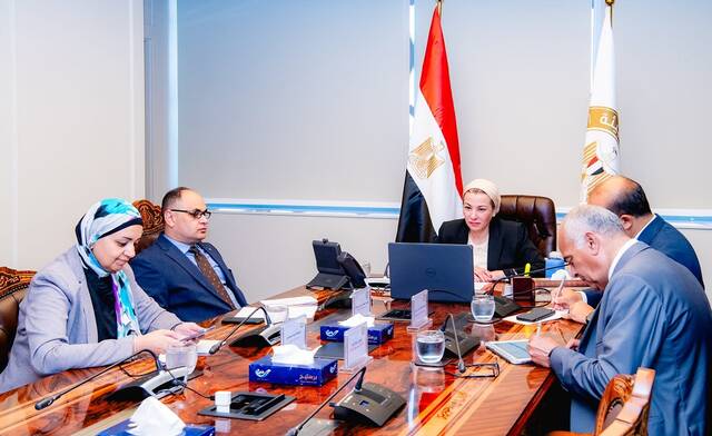 ياسمين فؤاد وزيرة البيئة المصرية خلال اجتماع مع ميكيلي كواروني السفير الإيطالي بالقاهرة