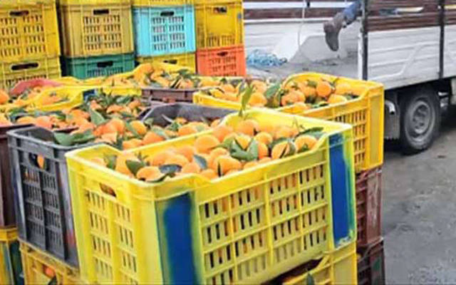 546.4 مليون دينار عجز الميزان التجاري الغذائي التونسي بنهاية سبتمبر