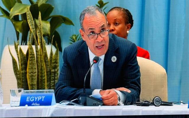 وزير الخارجية والتعاون الدولي والمصريين بالخارج بدر عبد العاطي