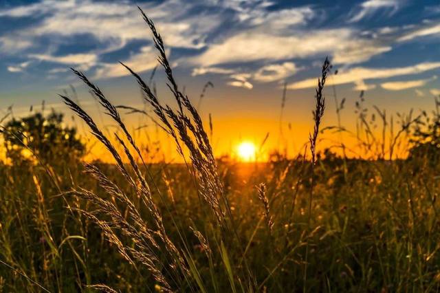 Egypt implements 281 agricultural projects at EGP 26bn cost in 6 yrs