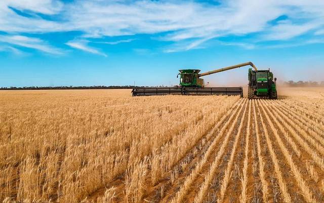 الحبوب السعودية تصرف دفعة جديدة من مستحقات مزارعي القمح المحلي