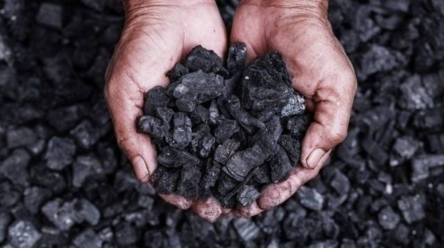 الأمن البيئي السعودي يضبط مواطناً مخالفاً لقطعه الأشجار وتحويلها لفحم في الطائف