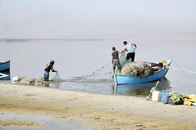 إطلاق مليون يرقة جمبري في بحيرة قارون ضمن مشروع تنمية المخزون السمكي