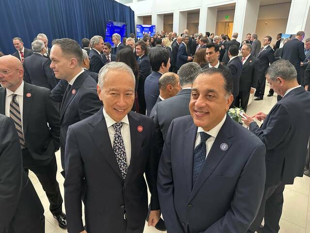 جانب من المشاركة