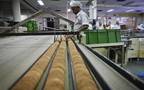 Sharkia National Food profits up 32% in 9M