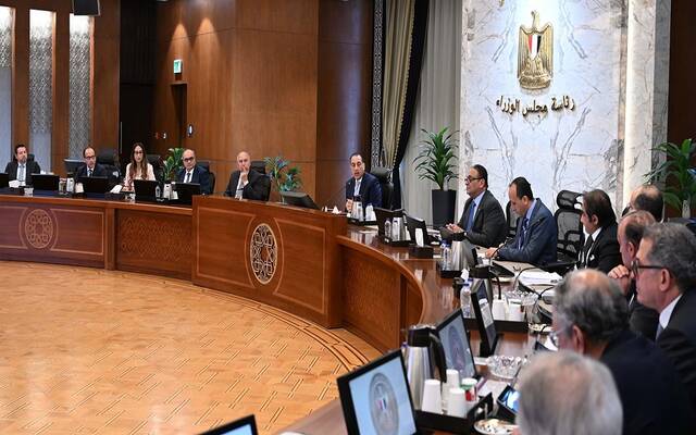 مدبولي يوجه بتحديد قائمة بيضاء بالخامات ومستلزمات الإنتاج التي يتم استيرادها