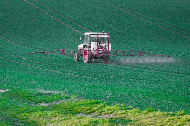 Kafr El Zayat Pesticides’ board approves stock split