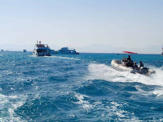 مصر والإمارات ضمن الـ"11" الكبار عالمياً في الاهتمام بالرحلات البحرية