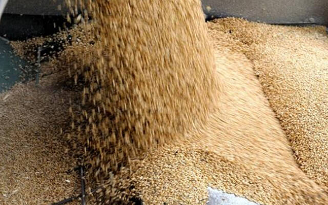 وزير النقل التونسي يدعو لحل اشكاليات تفريغ المواد الغذائية بالموانئ