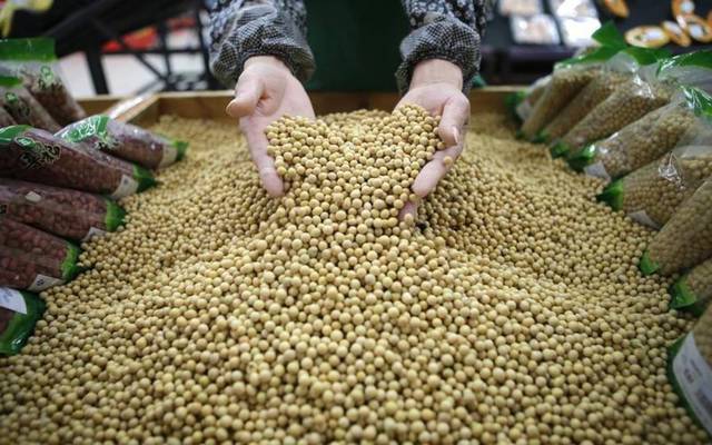 Report: China has begun preparations for the resumption of soybean imports from Washington
