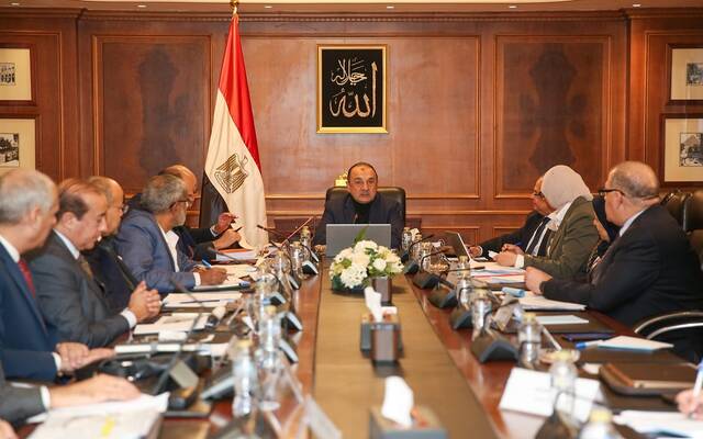 محمد شيمي وزير قطاع الأعمال العام في مصر