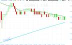 سهم جو جرين