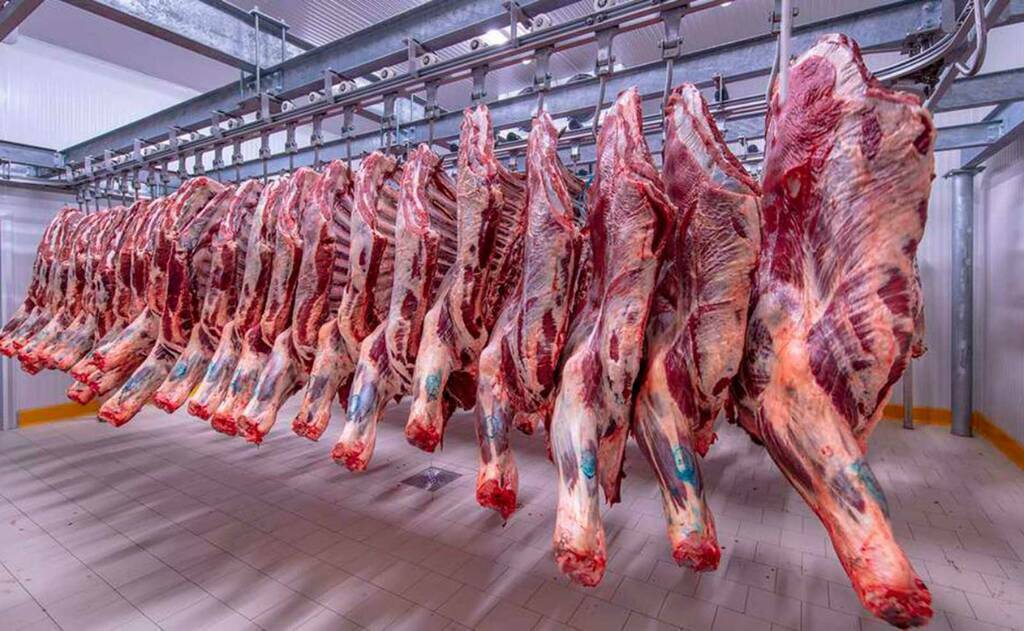 أسعار الدواجن في مصر تتجاوز 110 جنيهات للكيلو مع تباين حاد بين الأصناف — image 3