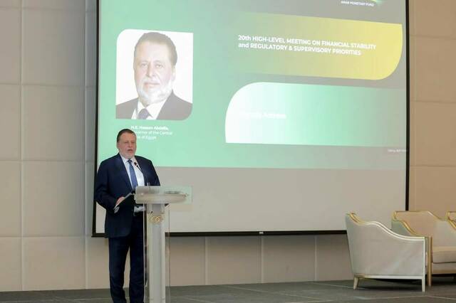 محافظ البنك المركزي المصري حسن عبدالله