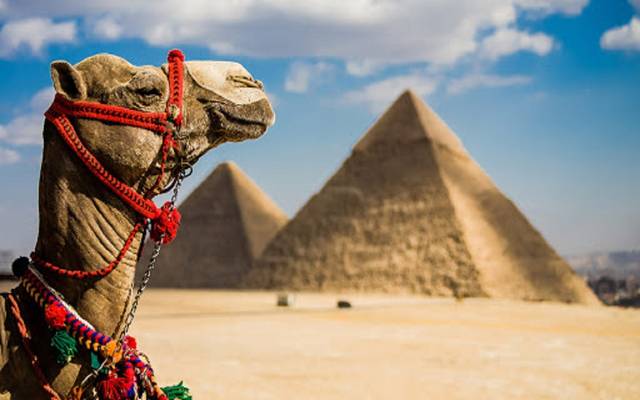 مصر تكتشف مقبرة فريدة من العصر الصاوي بالمنيا