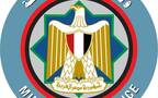 وزارة المالية المصرية