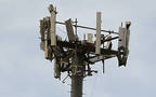 Telecommunications (Photo Credit : Reuters Arabia)